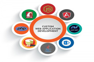 Custome Web Application